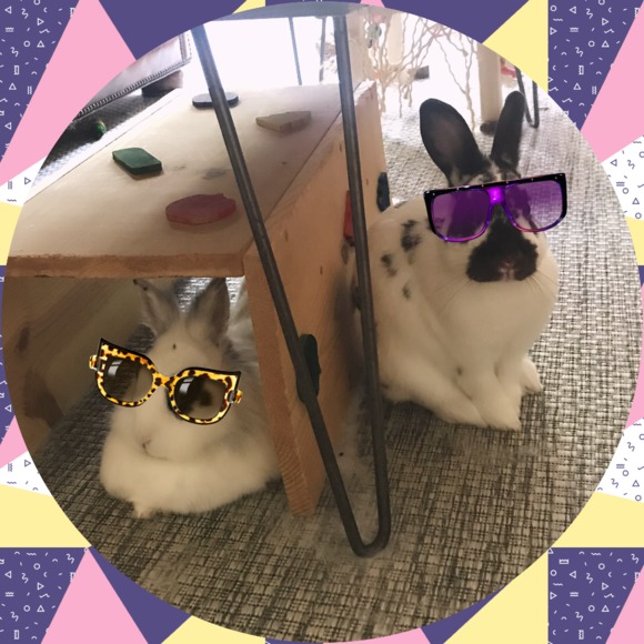 darkbunnie